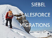 Siebel upgrades and Siebel / SALESFORCE migration